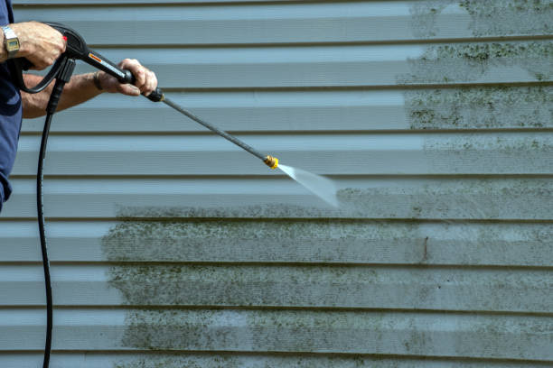 Best Gutter Cleaning and Brightening in Adrian, MO